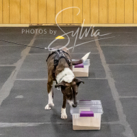 26-18-10-ScentWork-528