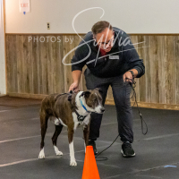 26-18-10-ScentWork-533