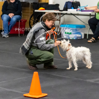 26-18-10-ScentWork-540