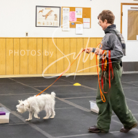 26-18-10-ScentWork-541