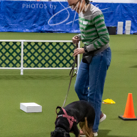 26-18-10-ScentWork-55
