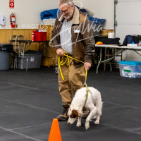 26-18-10-ScentWork-550