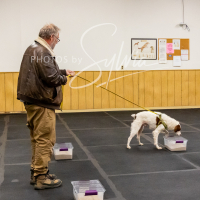 26-18-10-ScentWork-553