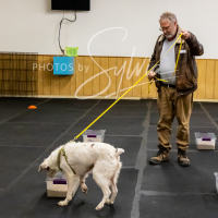 26-18-10-ScentWork-554