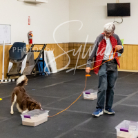 26-18-10-ScentWork-557
