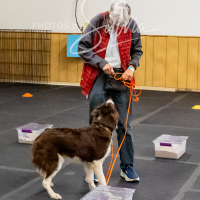 26-18-10-ScentWork-558
