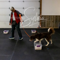 26-18-10-ScentWork-561