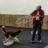 26-18-10-ScentWork-563