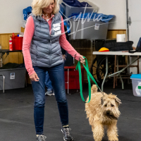 26-18-10-ScentWork-565