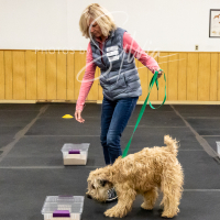 26-18-10-ScentWork-568