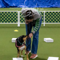 26-18-10-ScentWork-57