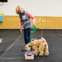 26-18-10-ScentWork-570