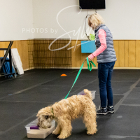 26-18-10-ScentWork-571