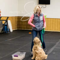 26-18-10-ScentWork-572