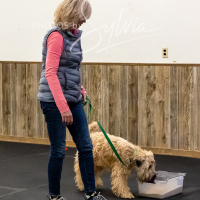 26-18-10-ScentWork-575