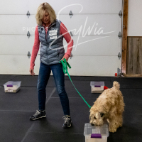 26-18-10-ScentWork-577