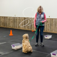 26-18-10-ScentWork-578