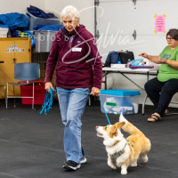 26-18-10-ScentWork-580