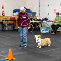 26-18-10-ScentWork-581