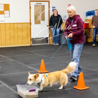 26-18-10-ScentWork-582