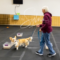 26-18-10-ScentWork-584