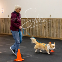 26-18-10-ScentWork-586
