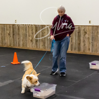 26-18-10-ScentWork-588