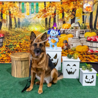 26-18-10-ScentWork-593