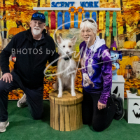 26-18-10-ScentWork-613