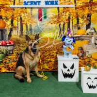 26-18-10-ScentWork-636