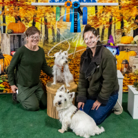 26-18-10-ScentWork-653