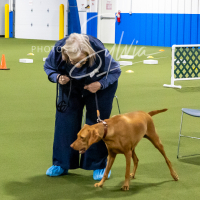 26-18-10-ScentWork-66